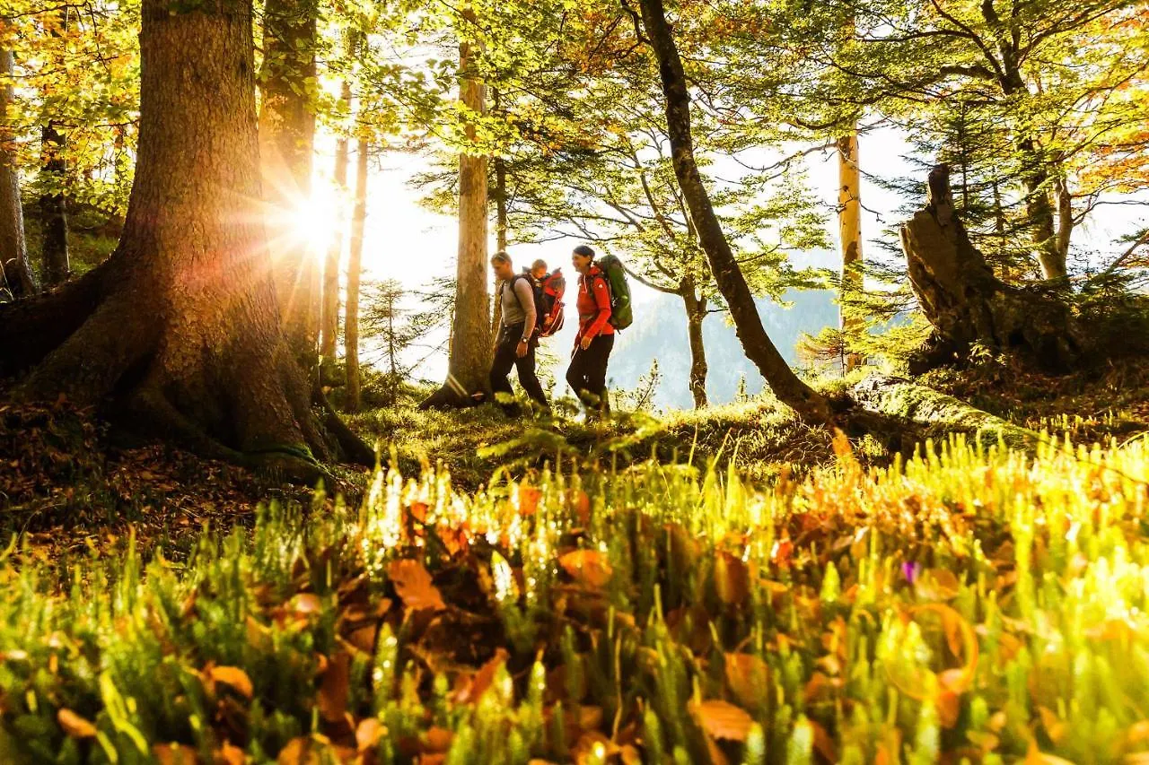 Pension Bergblick Ruhpolding Deutschland